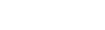 Logo Auto Nett
